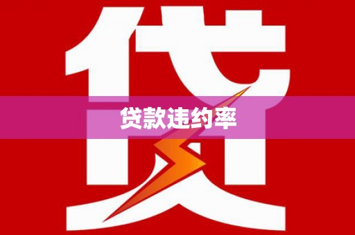 瑞金贷款违约率