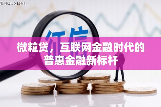瑞金微粒贷，互联网金融时代的普惠金融新标杆