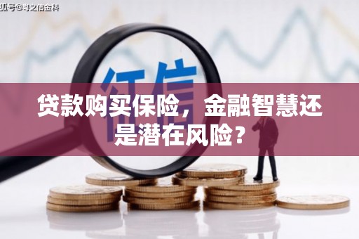瑞金贷款购买保险，金融智慧还是潜在风险？