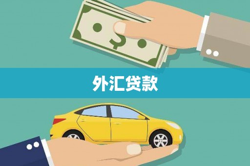 瑞金外汇贷款