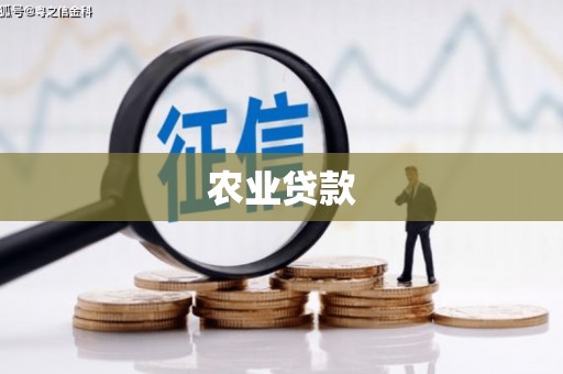 瑞金农业贷款
