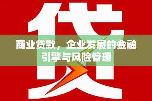 瑞金商业贷款，企业发展的金融引擎与风险管理