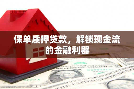 瑞金保单质押贷款，解锁现金流的金融利器