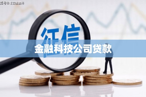 瑞金金融科技公司贷款