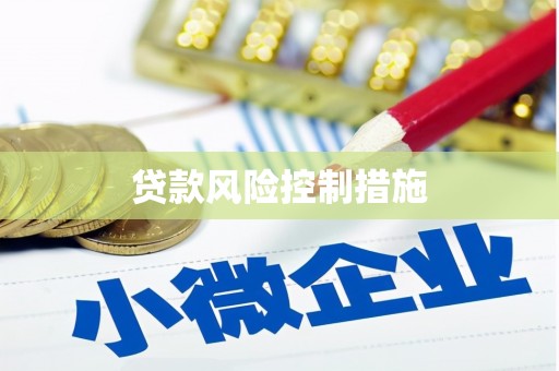 瑞金贷款风险控制措施