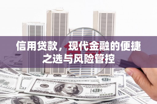 瑞金信用贷款，现代金融的便捷之选与风险管控