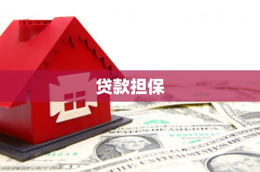 瑞金贷款担保