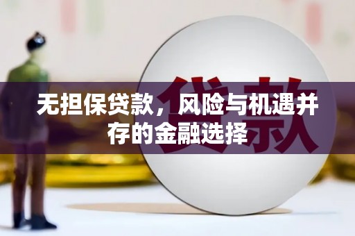 瑞金无担保贷款，风险与机遇并存的金融选择