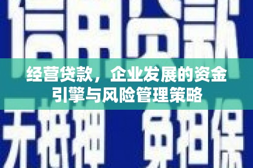 瑞金经营贷款，企业发展的资金引擎与风险管理策略