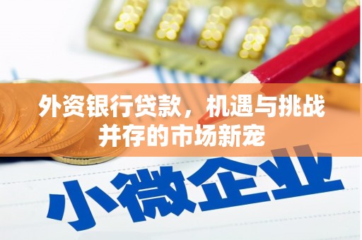 瑞金外资银行贷款，机遇与挑战并存的市场新宠