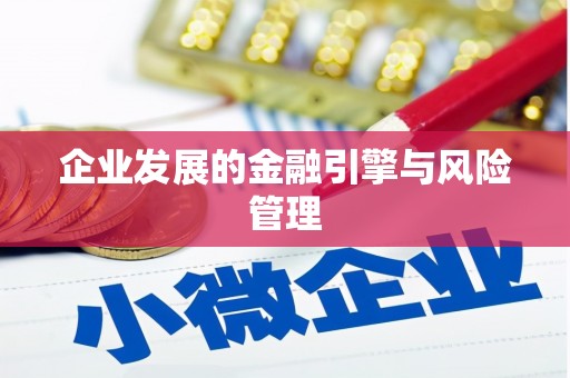瑞金企业发展的金融引擎与风险管理