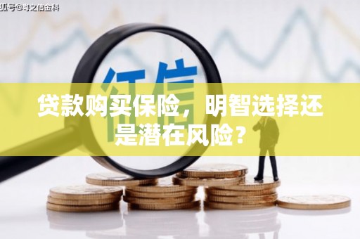 瑞金贷款购买保险，明智选择还是潜在风险？