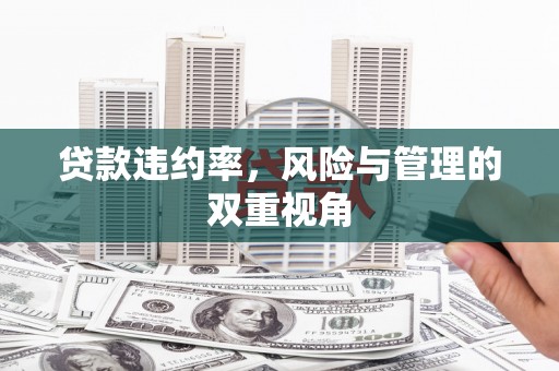 瑞金贷款违约率，风险与管理的双重视角