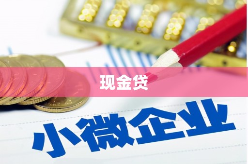 瑞金现金贷