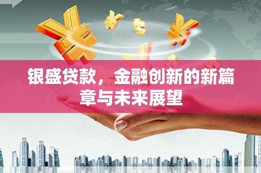 瑞金银盛贷款，金融创新的新篇章与未来展望