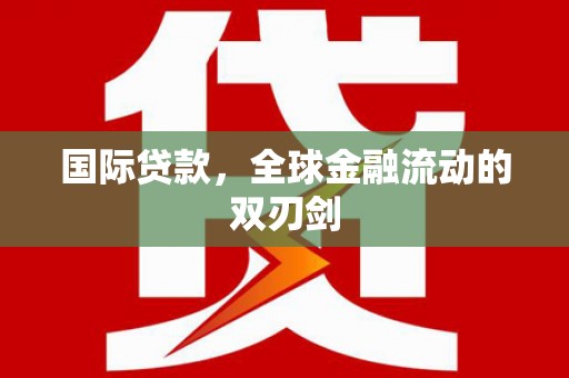 瑞金国际贷款，全球金融流动的双刃剑