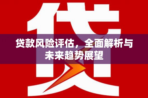 瑞金贷款风险评估，全面解析与未来趋势展望