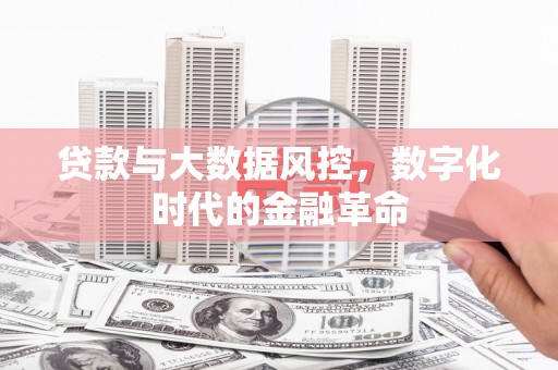 瑞金贷款与大数据风控，数字化时代的金融革命