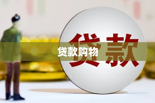 瑞金贷款购物