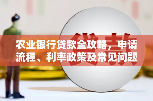 瑞金农业银行贷款全攻略，申请流程、利率政策及常见问题解析