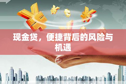 瑞金现金贷，便捷背后的风险与机遇