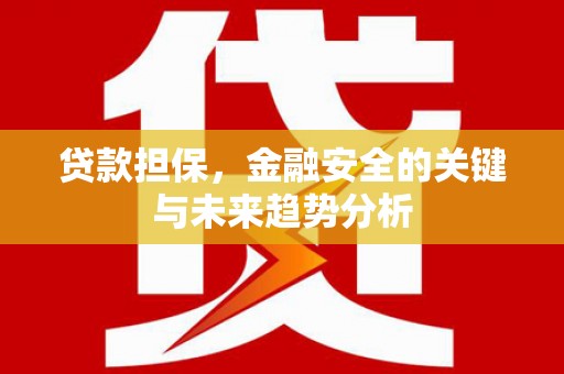 瑞金贷款担保，金融安全的关键与未来趋势分析