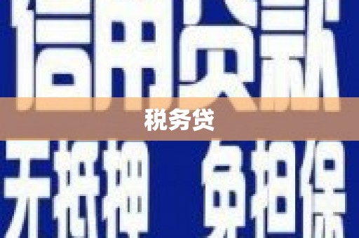 瑞金税务贷