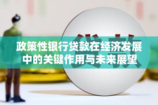 瑞金政策性银行贷款在经济发展中的关键作用与未来展望