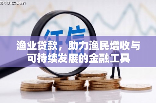 瑞金渔业贷款，助力渔民增收与可持续发展的金融工具