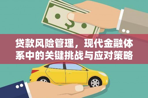 瑞金贷款风险管理，现代金融体系中的关键挑战与应对策略