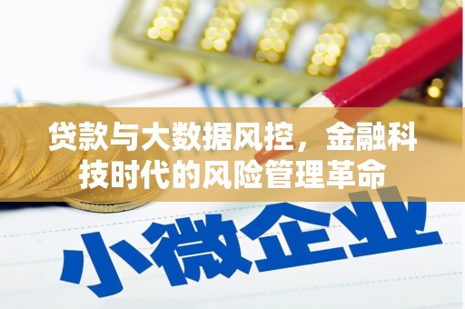 瑞金贷款与大数据风控，金融科技时代的风险管理革命