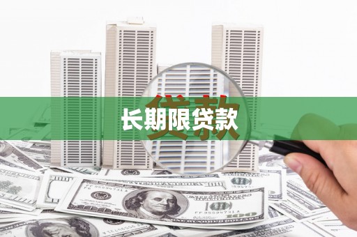 瑞金长期限贷款