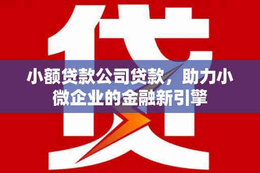 瑞金小额贷款公司贷款，助力小微企业的金融新引擎