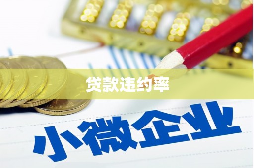 瑞金贷款违约率