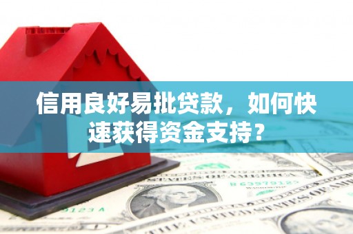 瑞金信用良好易批贷款，如何快速获得资金支持？