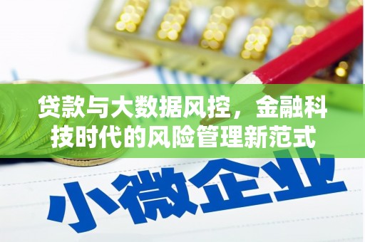 瑞金贷款与大数据风控，金融科技时代的风险管理新范式