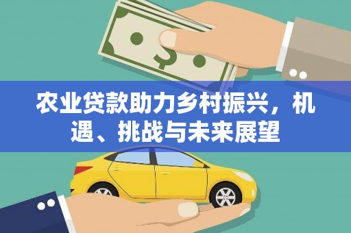 瑞金农业贷款助力乡村振兴，机遇、挑战与未来展望