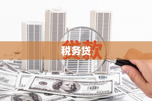 瑞金税务贷