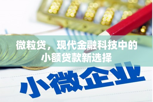瑞金微粒贷，现代金融科技中的小额贷款新选择