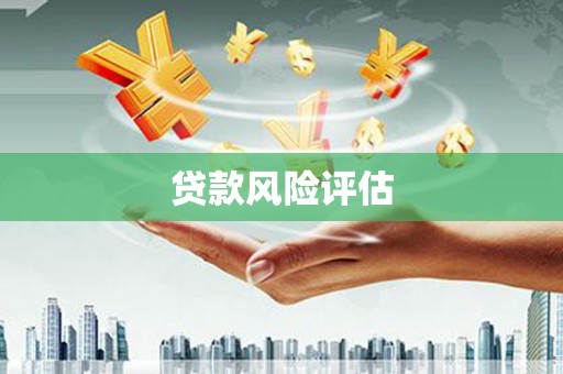瑞金贷款风险评估