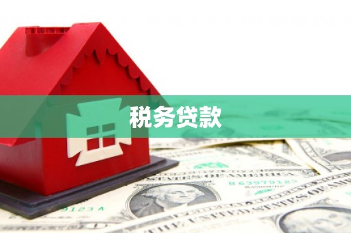瑞金税务贷款