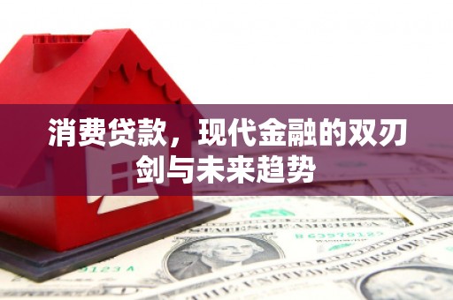 瑞金消费贷款，现代金融的双刃剑与未来趋势
