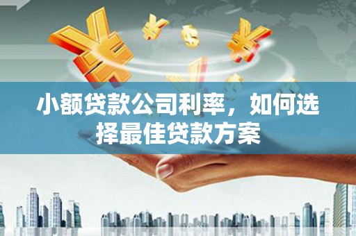 瑞金小额贷款公司利率，如何选择最佳贷款方案