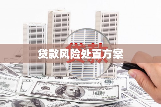 瑞金贷款风险处置方案