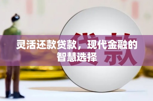 瑞金灵活还款贷款，现代金融的智慧选择