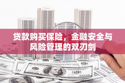 瑞金贷款购买保险，金融安全与风险管理的双刃剑