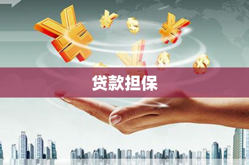 瑞金贷款担保