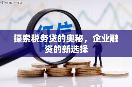 瑞金探索税务贷的奥秘，企业融资的新选择