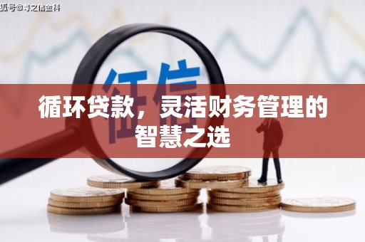 瑞金循环贷款，灵活财务管理的智慧之选