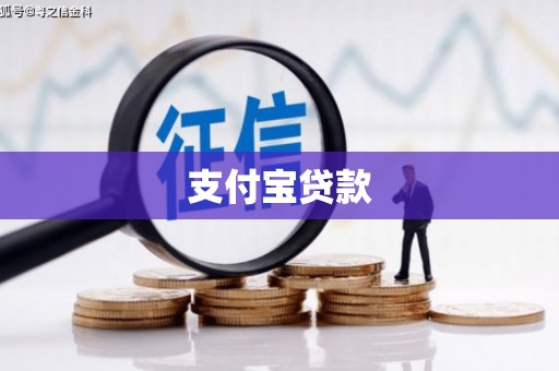 瑞金支付宝贷款